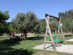 IMG_8638