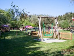 _MG_7905